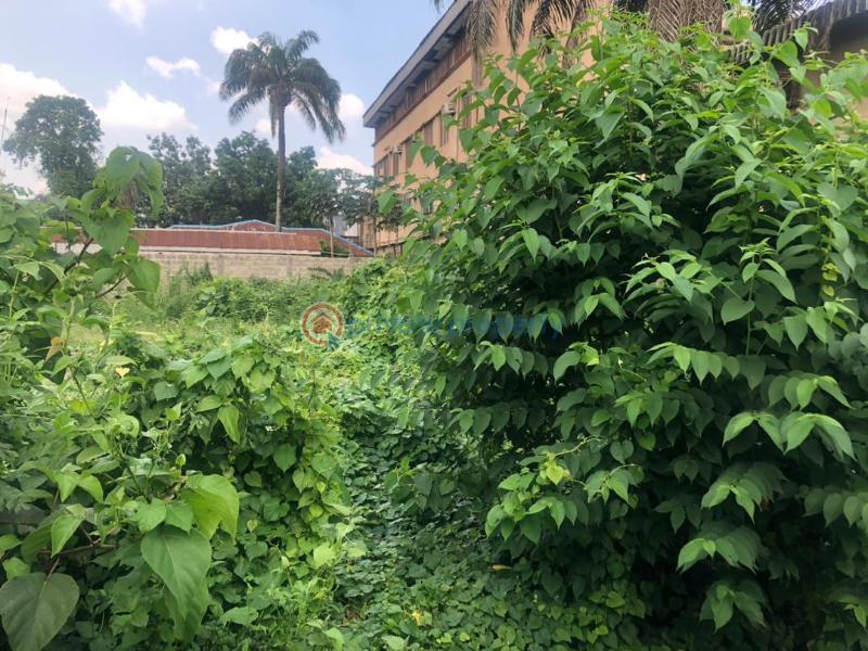 Mixed use Land For Sale Sobo Arobiodu Ikeja GRA Lagos - 4