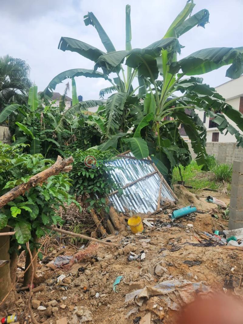 Land For Sale Ikeja GRA Lagos - 0