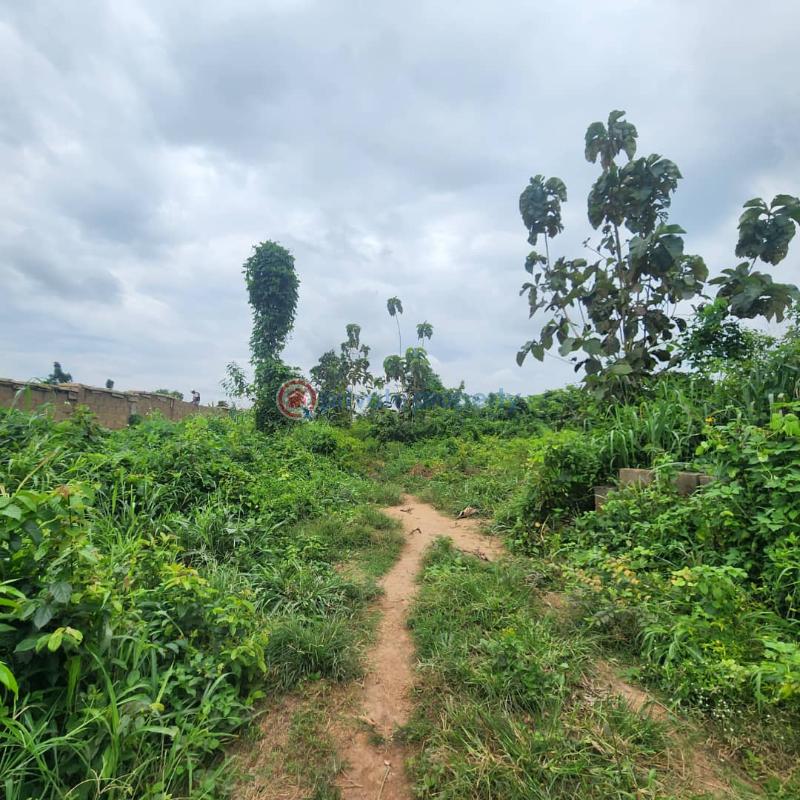 Residential Land For Sale Aje Village, Badeku Ibadan Moniya Ibadan Oyo - 1