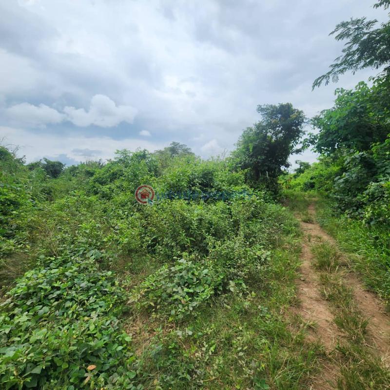Residential Land For Sale Aje Village, Badeku Ibadan Moniya Ibadan Oyo - 2