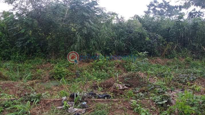 Land For Sale Agbara Atan/ota Road Ado Odo/Ota Ogun - 4