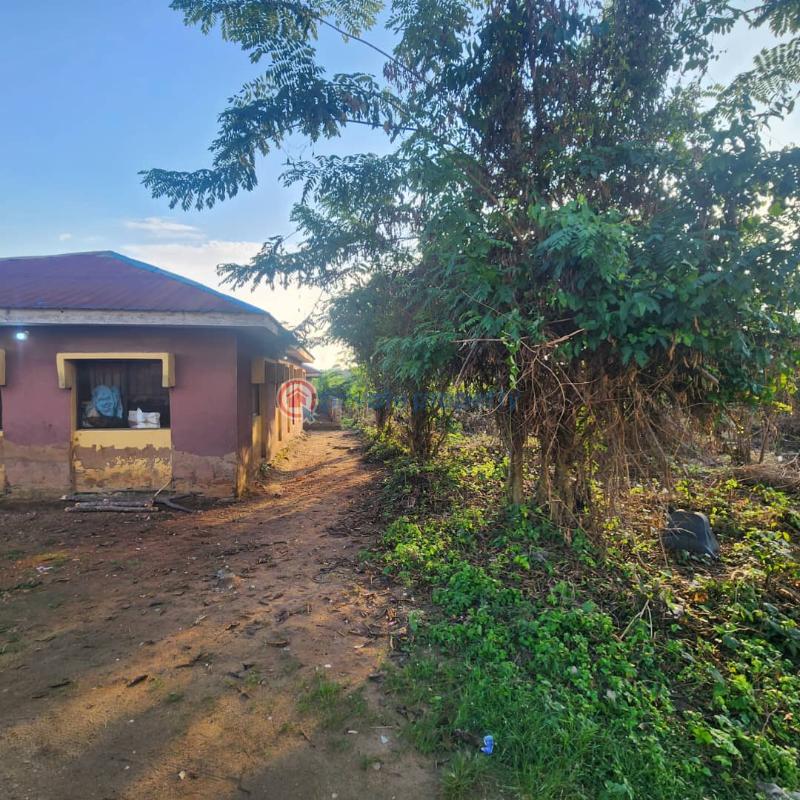 Residential Land For Sale Oori Onilu Vill., Moniya Ibadan Moniya Ibadan Oyo - 5