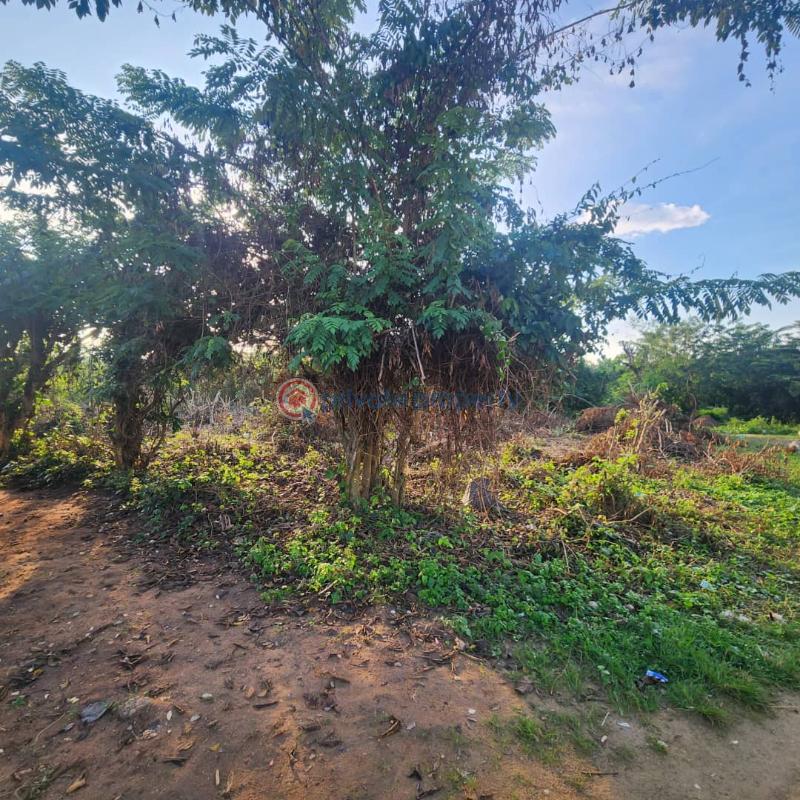 Residential Land For Sale Oori Onilu Vill., Moniya Ibadan Moniya Ibadan Oyo - 1