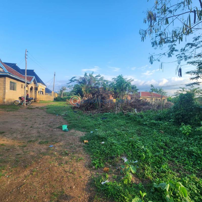 Residential Land For Sale Oori Onilu Vill., Moniya Ibadan Moniya Ibadan Oyo - 6