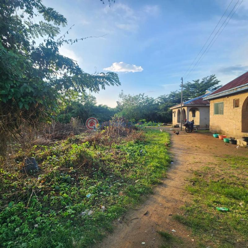 Residential Land For Sale Oori Onilu Vill., Moniya Ibadan Moniya Ibadan Oyo - 0