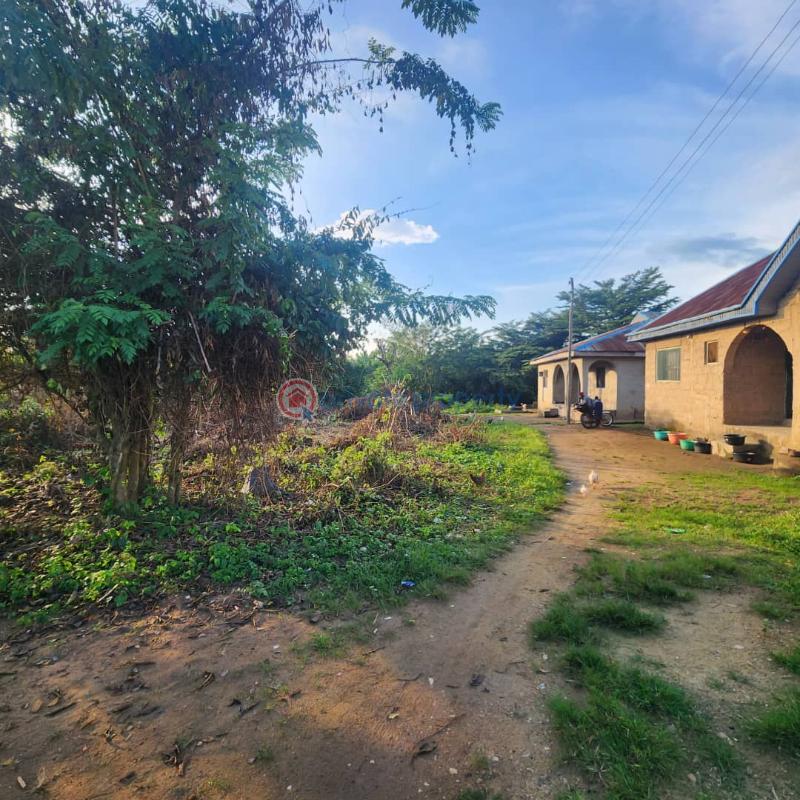 Residential Land For Sale Oori Onilu Vill., Moniya Ibadan Moniya Ibadan Oyo - 3