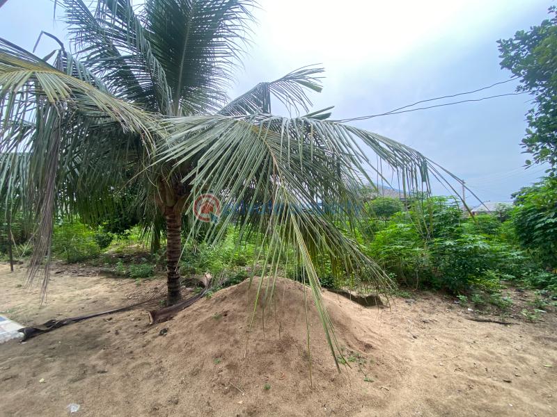 Residential Land For Sale Imeke Aradagun Badagry Lagos - 1