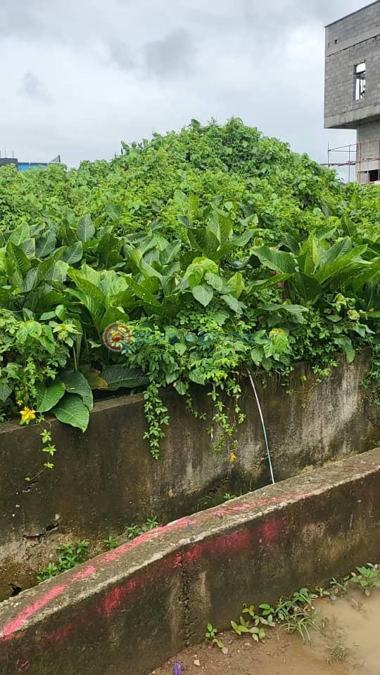 Mixed use Land For Sale Greenland Estate Mende Maryland Lagos - 0