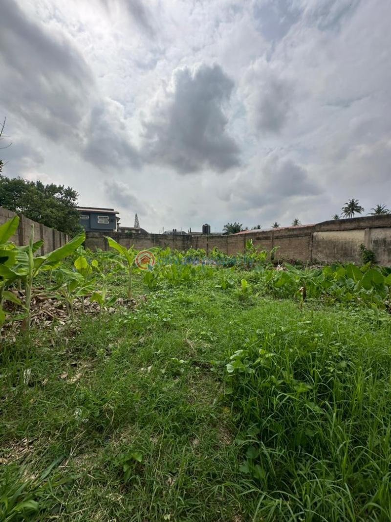 Residential Land For Sale Adenuga St New Bodija Ibadan Oyo - 0
