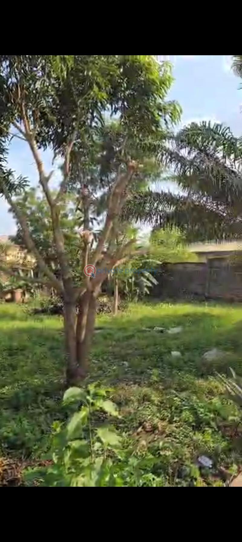 Land For Sale On Olayiwola Avenue, Omolayo Estate Ibadan Oyo - 2