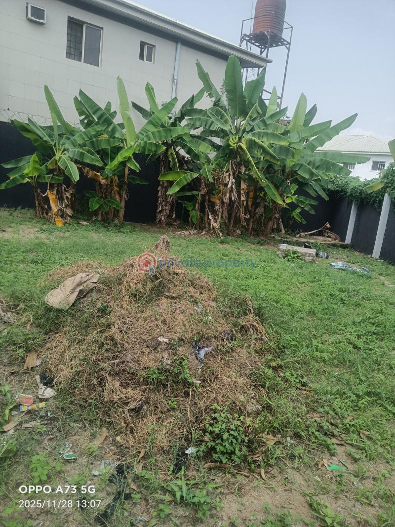 6 bedroom Detached Duplex For Sale Oke Ira Nla Lagos Ajah Lagos - 4