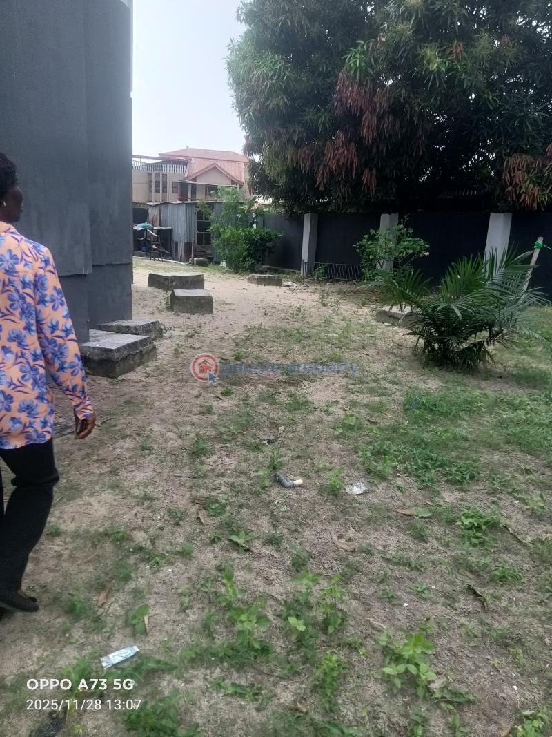 6 bedroom Detached Duplex For Sale Oke Ira Nla Lagos Ajah Lagos - 5