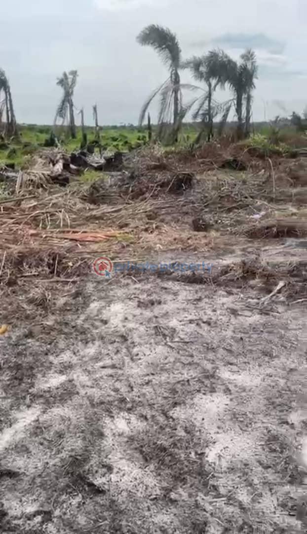 Land For Sale Off Ogombo Road, Ajah Lagos - 1
