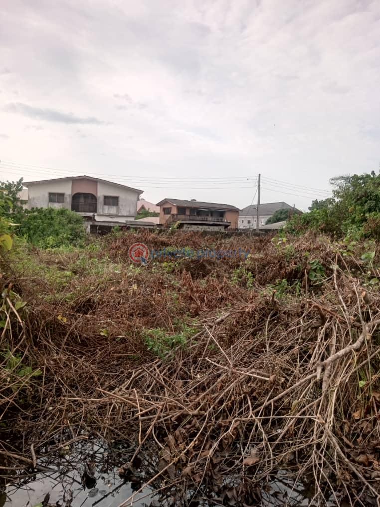 Residential Land For Sale Sunny Villa Estate Ado Ajah Lagos