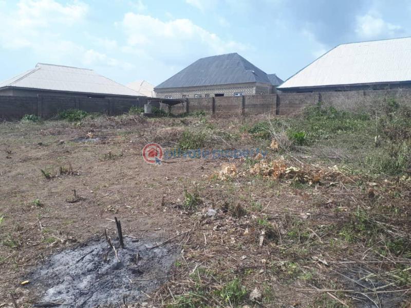 Mixed use Land For Sale 1 Acre Of Land In New Ife Road With C Of O Egbeda(ibadan) Oyo - 5
