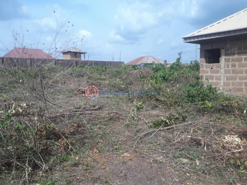 Mixed use Land For Sale 1 Acre Of Land In New Ife Road With C Of O Egbeda(ibadan) Oyo - 1