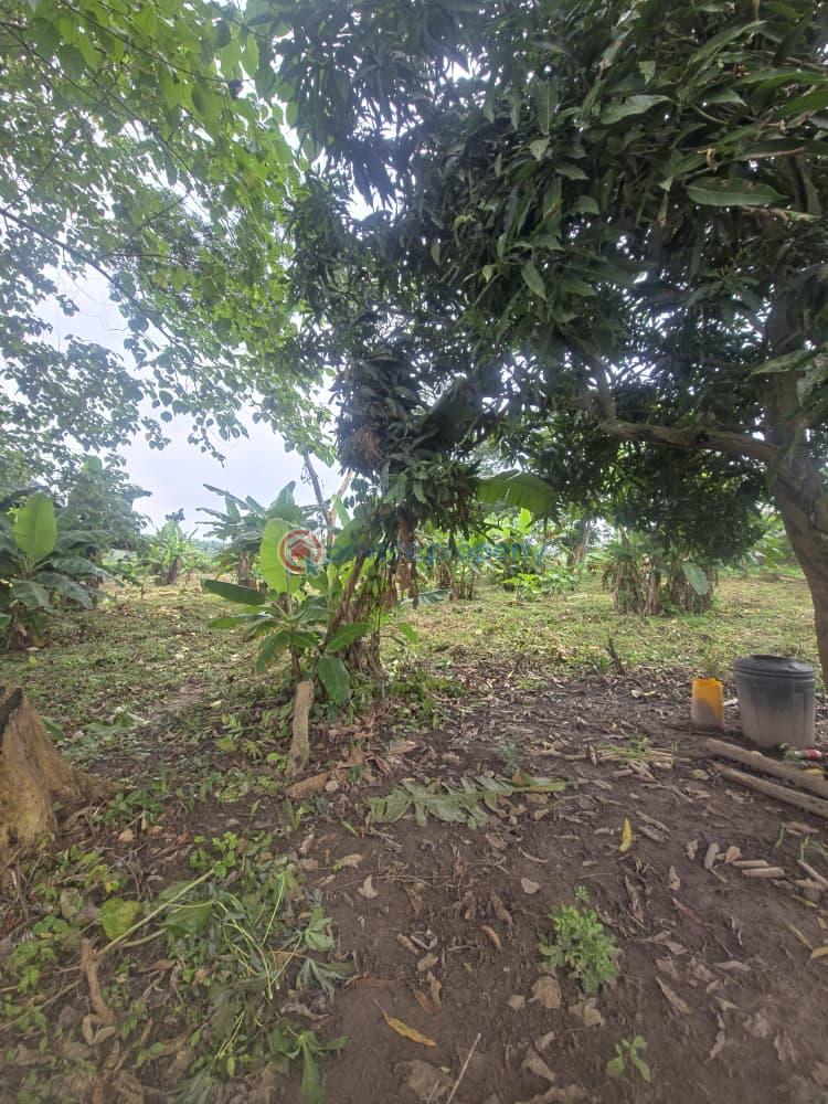 Mixed use Land For Sale Orisunmbare Ido Ibadan Oyo - 7