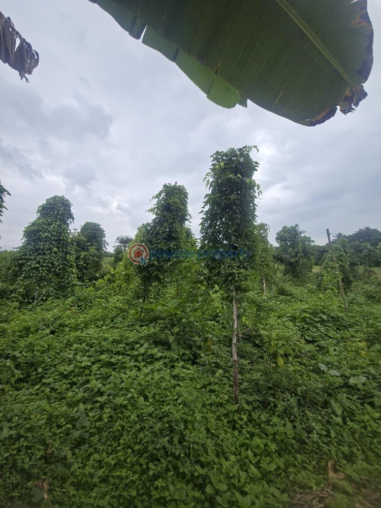 Mixed use Land For Sale Orisunmbare Ido Ibadan Oyo - 10