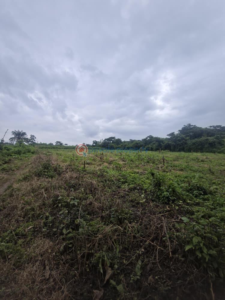 Mixed use Land For Sale Orisunmbare Ido Ibadan Oyo - 9