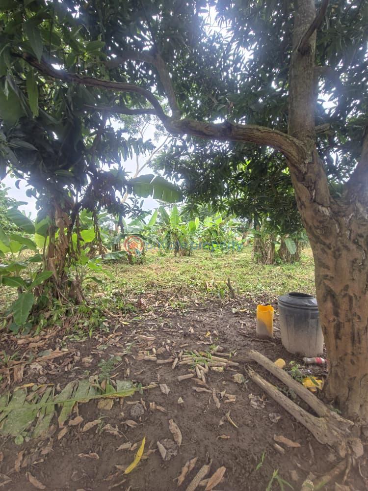 Mixed use Land For Sale Orisunmbare Ido Ibadan Oyo - 16