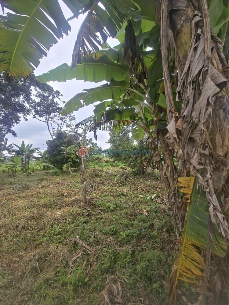 Mixed use Land For Sale Orisunmbare Ido Ibadan Oyo - 12