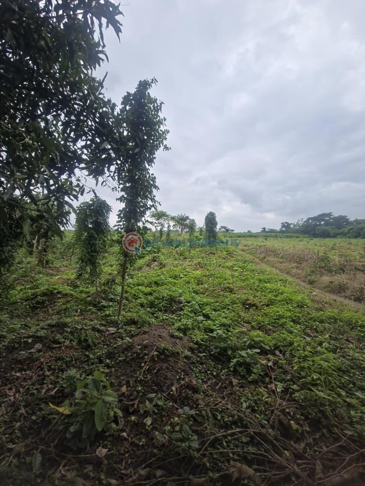 Mixed use Land For Sale Orisunmbare Ido Ibadan Oyo - 4