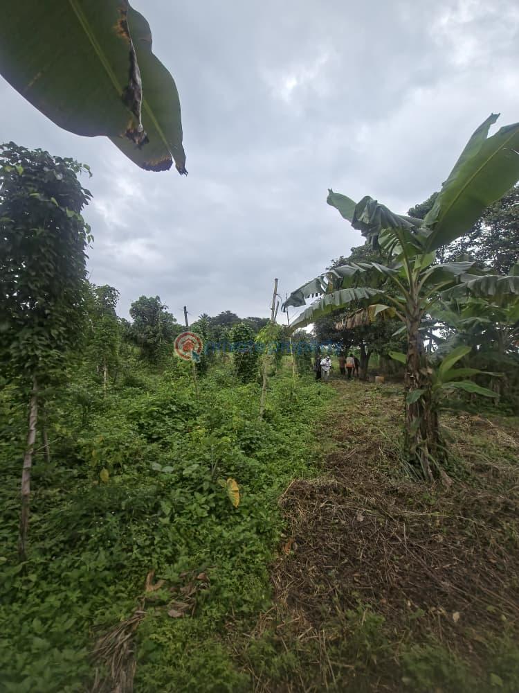 Mixed use Land For Sale Orisunmbare Ido Ibadan Oyo - 0