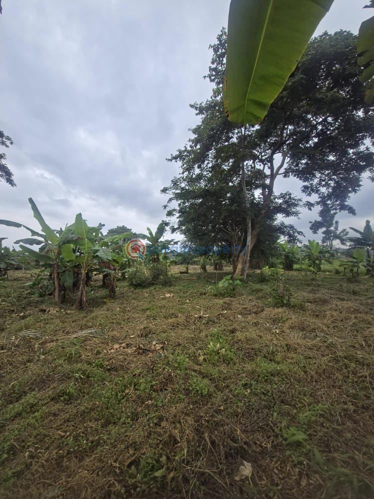 Mixed use Land For Sale Orisunmbare Ido Ibadan Oyo - 1