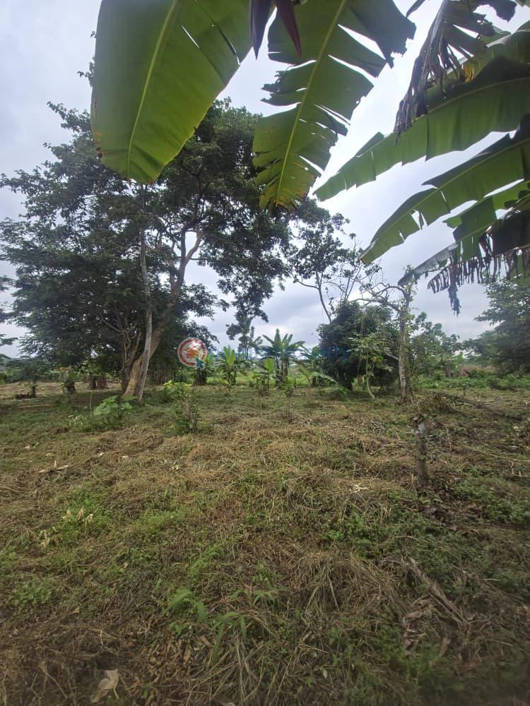 Mixed use Land For Sale Orisunmbare Ido Ibadan Oyo - 6