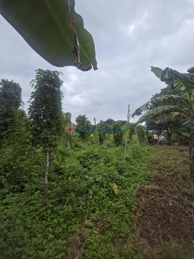 Mixed use Land For Sale Orisunmbare Ido Ibadan Oyo - 3