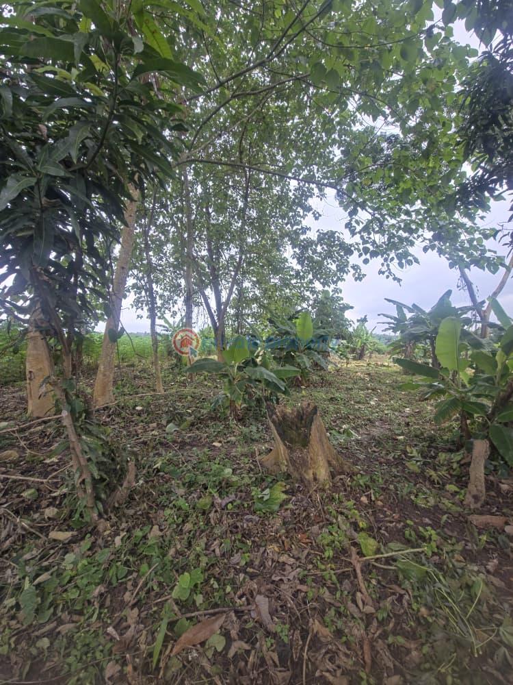 Mixed use Land For Sale Orisunmbare Ido Ibadan Oyo - 11