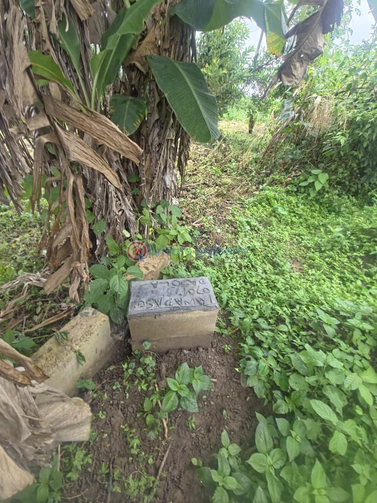 Mixed use Land For Sale Orisunmbare Ido Ibadan Oyo - 5