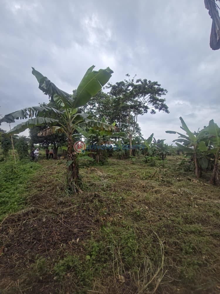 Mixed use Land For Sale Orisunmbare Ido Ibadan Oyo - 8