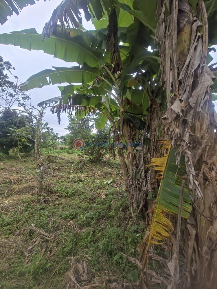 Mixed use Land For Sale Orisunmbare Ido Ibadan Oyo - 15
