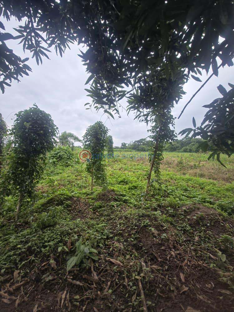 Mixed use Land For Sale Orisunmbare Ido Ibadan Oyo - 13