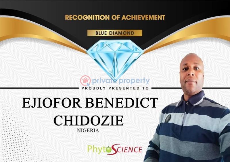 6000 sqm of land - 7 Mixed use Land For Sale Lekki Lagos - 7