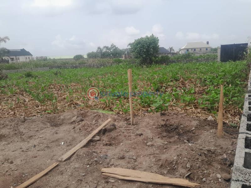 Residential Land For Sale Heritage Estate, Off 6th Avenue Road Festac Amuwo Odofin Lagos - 1