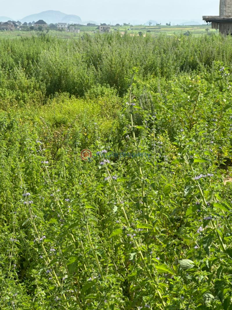 Residential Land For Sale Valington Estate Idu Abuja Phase 4  - 3