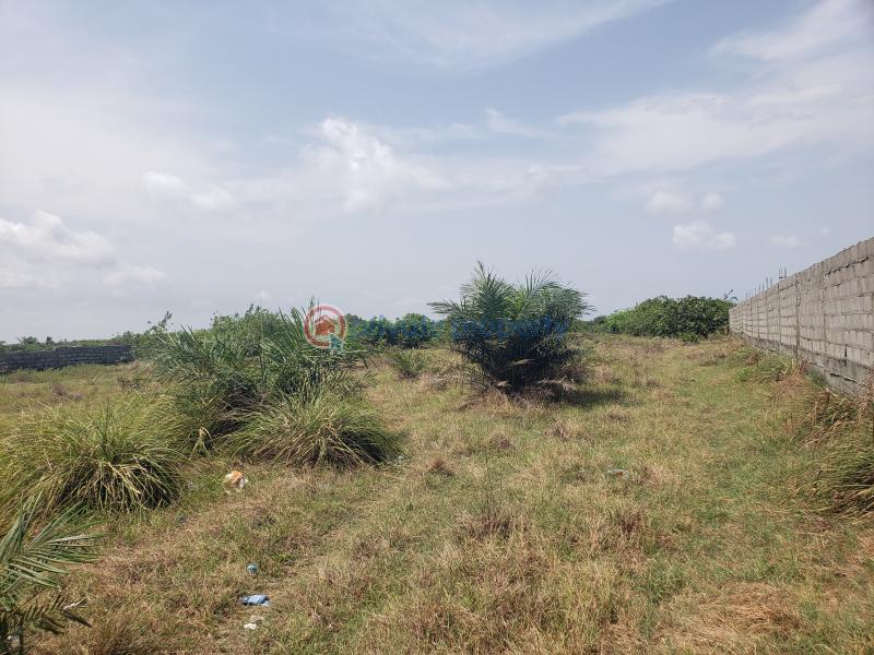 Mixed use Land For Sale Cherrywood Courts, Oshoroko, Along Lekki Free Trade Zone Free Trade Zone Ibeju-Lekki Lagos - 6