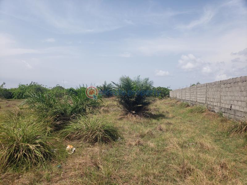Mixed use Land For Sale Cherrywood Courts, Oshoroko, Along Lekki Free Trade Zone Free Trade Zone Ibeju-Lekki Lagos - 1