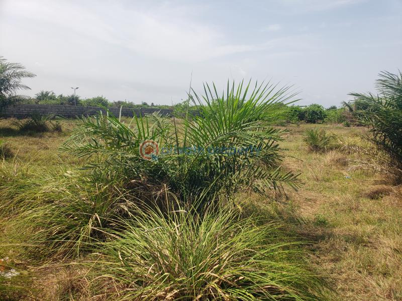 Mixed use Land For Sale Cherrywood Courts, Oshoroko, Along Lekki Free Trade Zone Free Trade Zone Ibeju-Lekki Lagos - 0