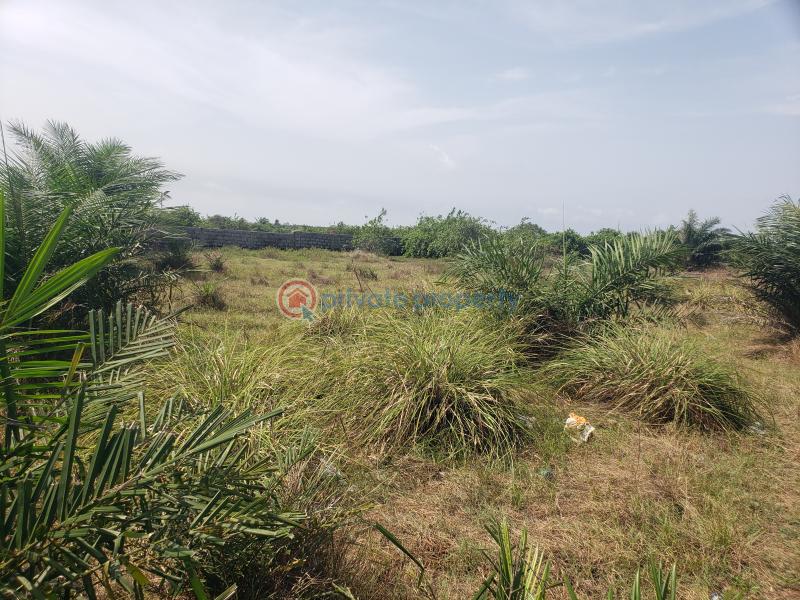 Mixed use Land For Sale Cherrywood Courts, Oshoroko, Along Lekki Free Trade Zone Free Trade Zone Ibeju-Lekki Lagos - 4