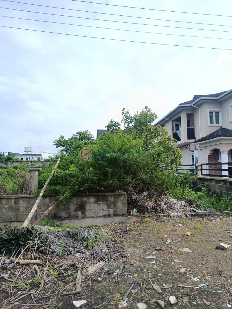 Residential Land For Sale Diamond Estate Phase 2 Beside Fara Park Inside Ajayi Apata Sangotedo Ajah Lagos - 0