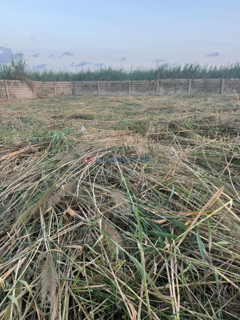 Land For Sale Unity Estate Badore Badore Ajah Lagos - 1