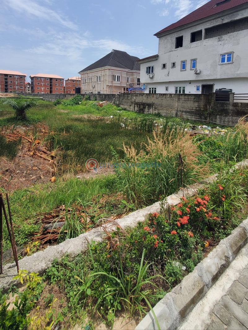 Land For Sale Monastery Road Sangotedo Ajah Lagos - 2