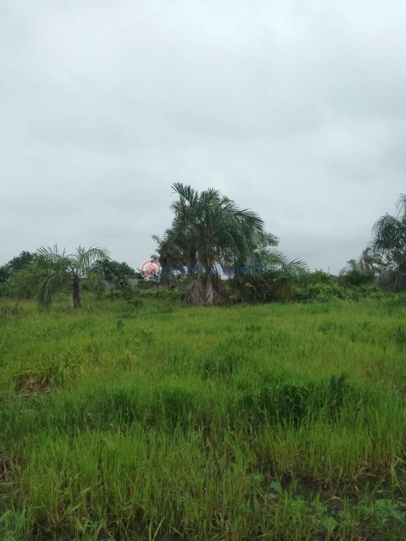 Mixed use Land For Sale Mopol Ijebu Monastery Road Sangotedo Ajah Lagos - 0