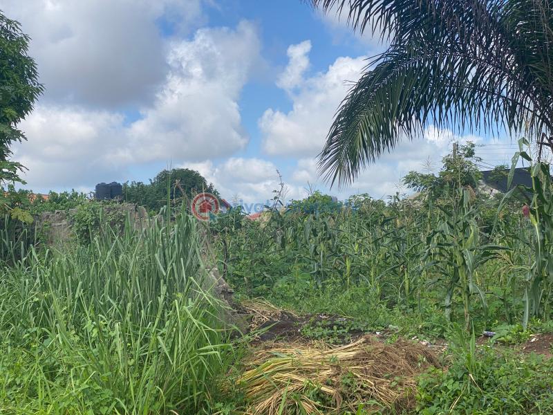 Residential Land For Sale Inside Egbeada Federal Housing Estate, Owerri, Imo State Owerri Imo - 2