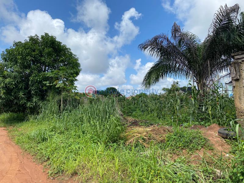 Residential Land For Sale Inside Egbeada Federal Housing Estate, Owerri, Imo State Owerri Imo - 5