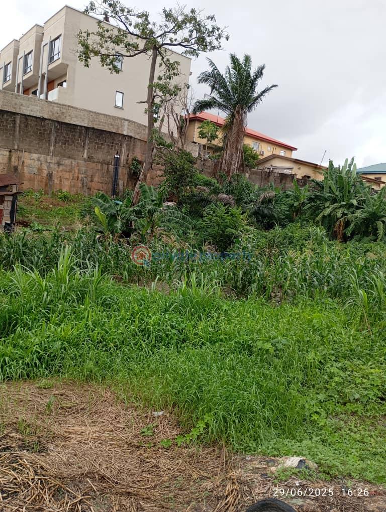 Residential Land For Sale Omole Phase 1 Ojodu Lagos - 0