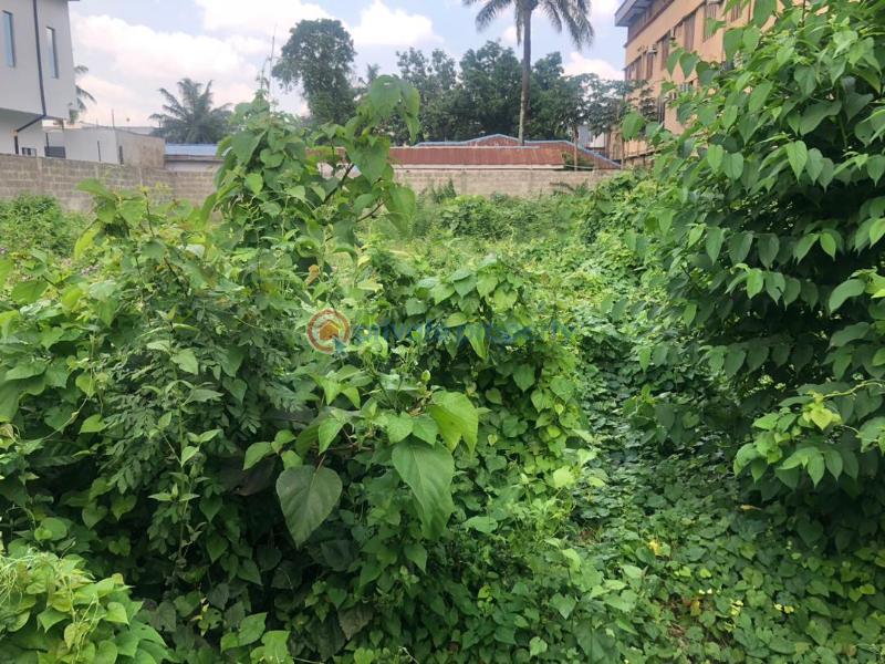 Mixed use Land For Sale Oduduwa Crescent Ikeja GRA Lagos - 1